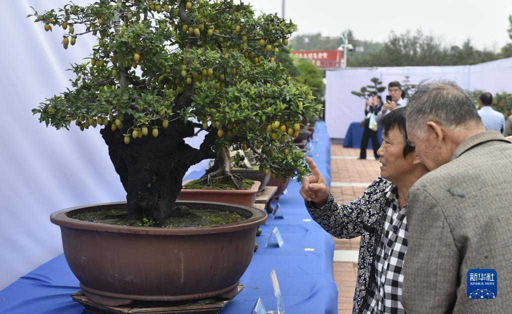 多宝平台客户端登陆